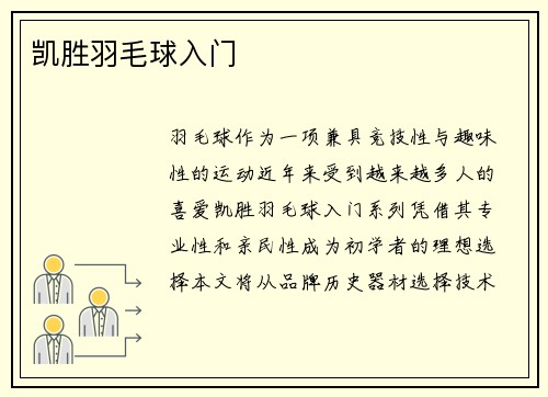 凯胜羽毛球入门