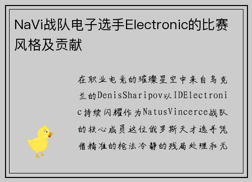 NaVi战队电子选手Electronic的比赛风格及贡献