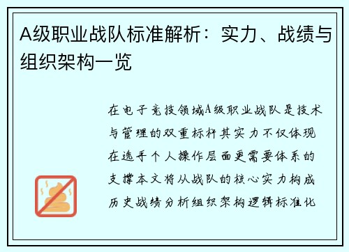 A级职业战队标准解析：实力、战绩与组织架构一览